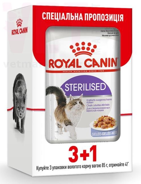 ���� ����� Sterilised Jelly 3+1. Feline Health Nutrition Wet - ������� �������