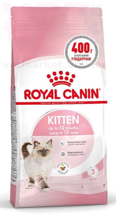 ���� ����� Kitten, 1,6 �� + 400 �. GROWTH