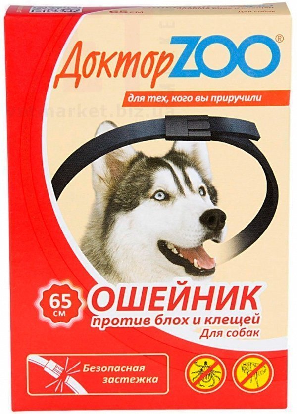 �����/������ ��� ������� ��� �����, 65 ��. ����� / ����� � �����������