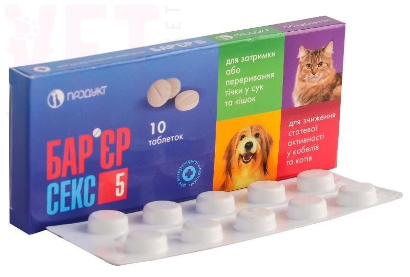 Интернеттегі субтитрлері бар платоникалық секс