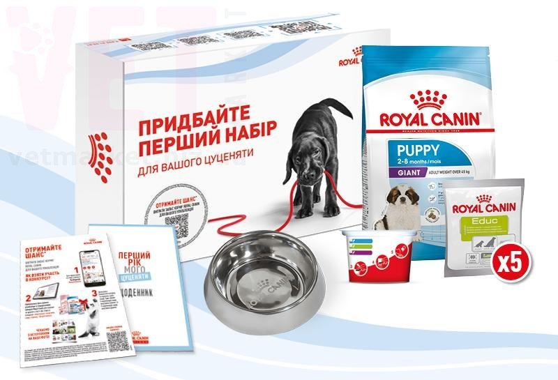 ���� ����� Giant Puppy ��������� �����. Giant (> 45 ��)