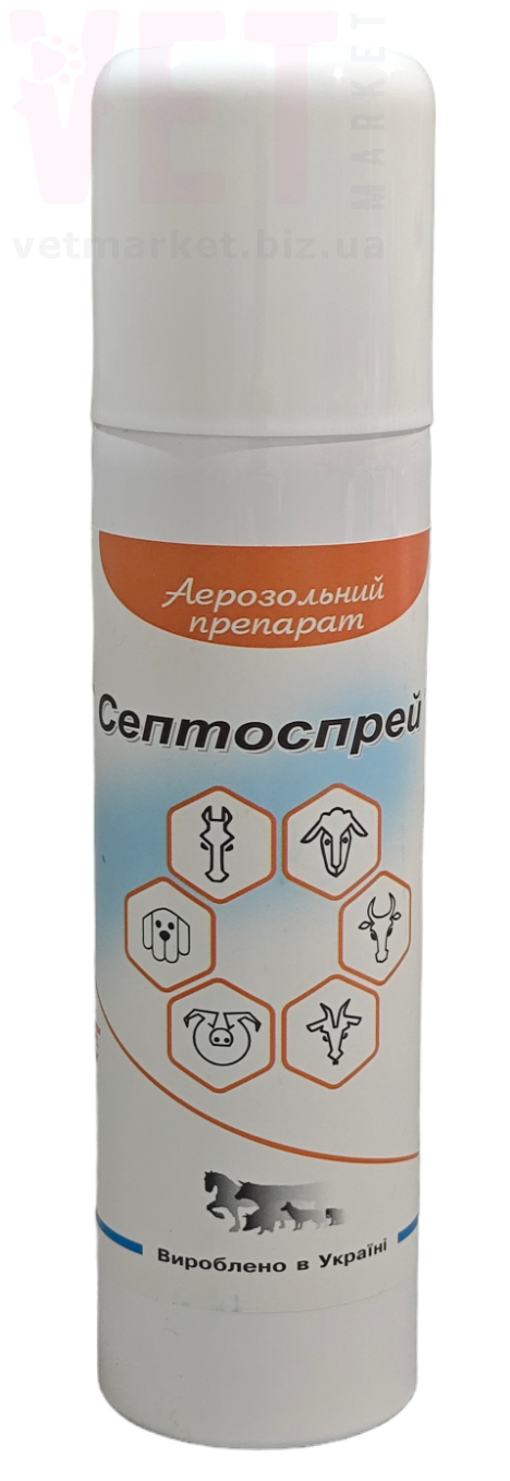 ����������, 160 ��, �����. ��������, �������, �������� � ������ �����