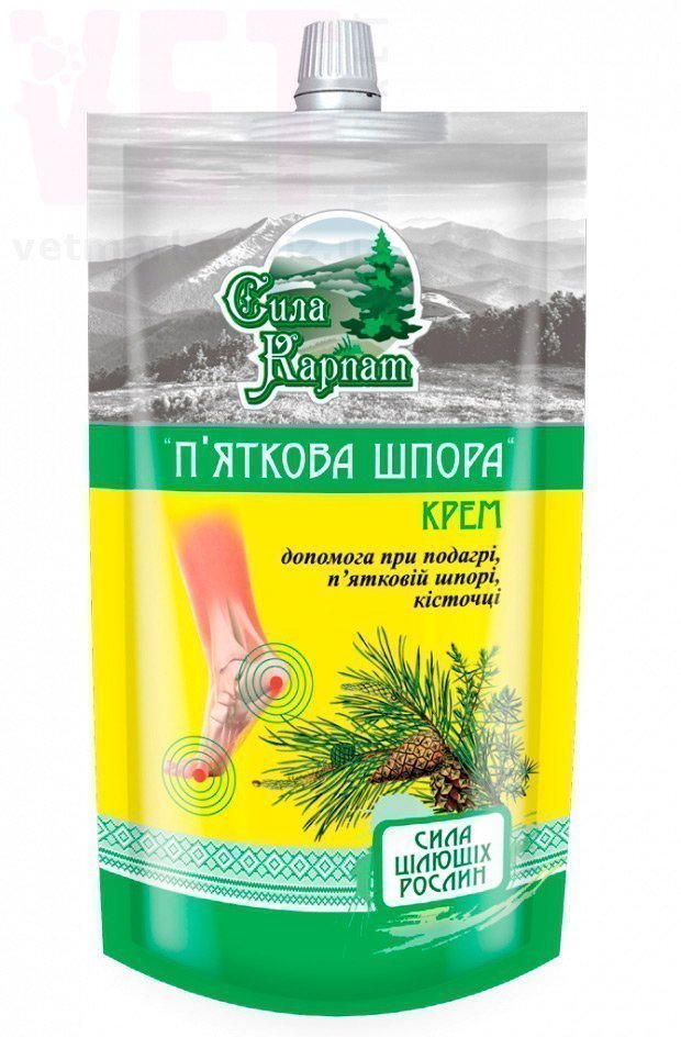 ���� ������ ���� �������� �����, 100 ��, �������. ������-������������ �������