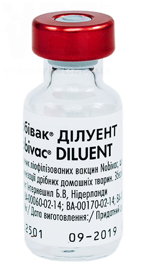 ������� �������, MSD. �������, ���������