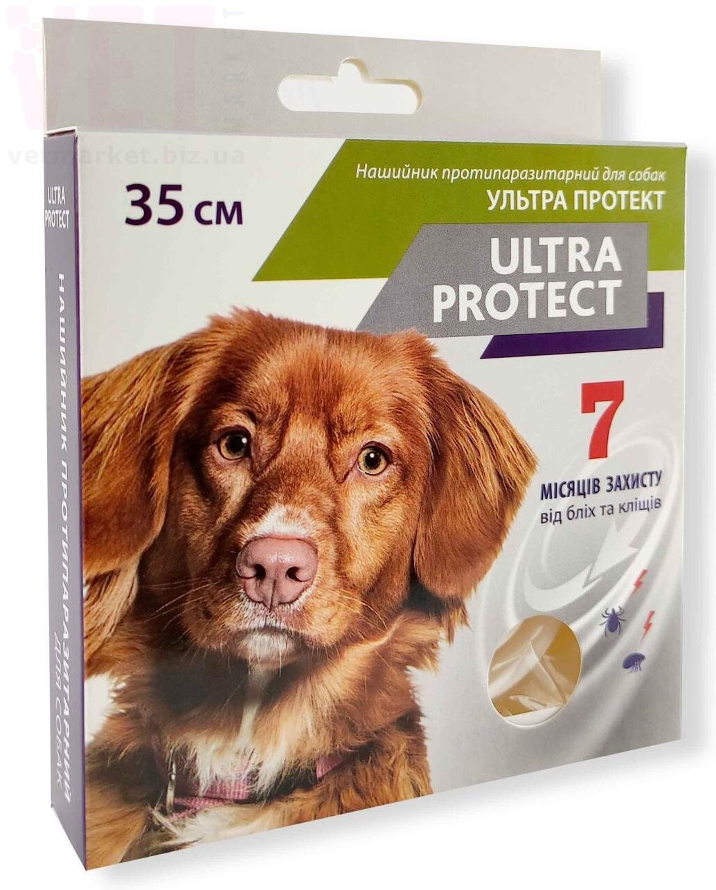 ������ ������� ������� ��� ����� (�����), 35 ��, �����������. ��������