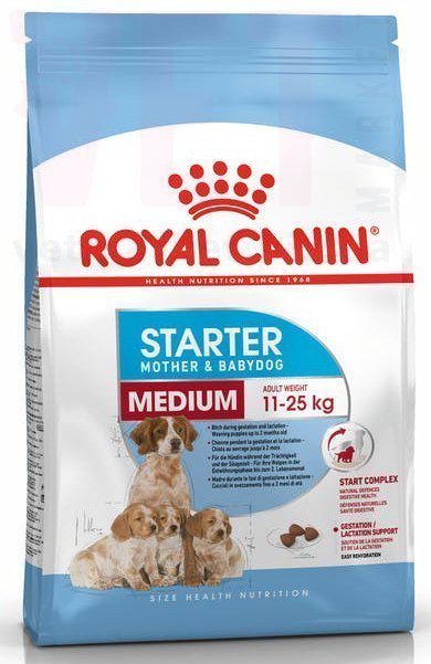 ���� ����� Medium Starter, 1 ��. Medium (11-25 ��)