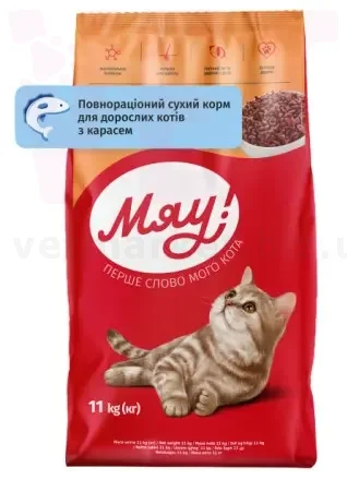 ��� ����� ���� � �������, 11 ��. ��� �����