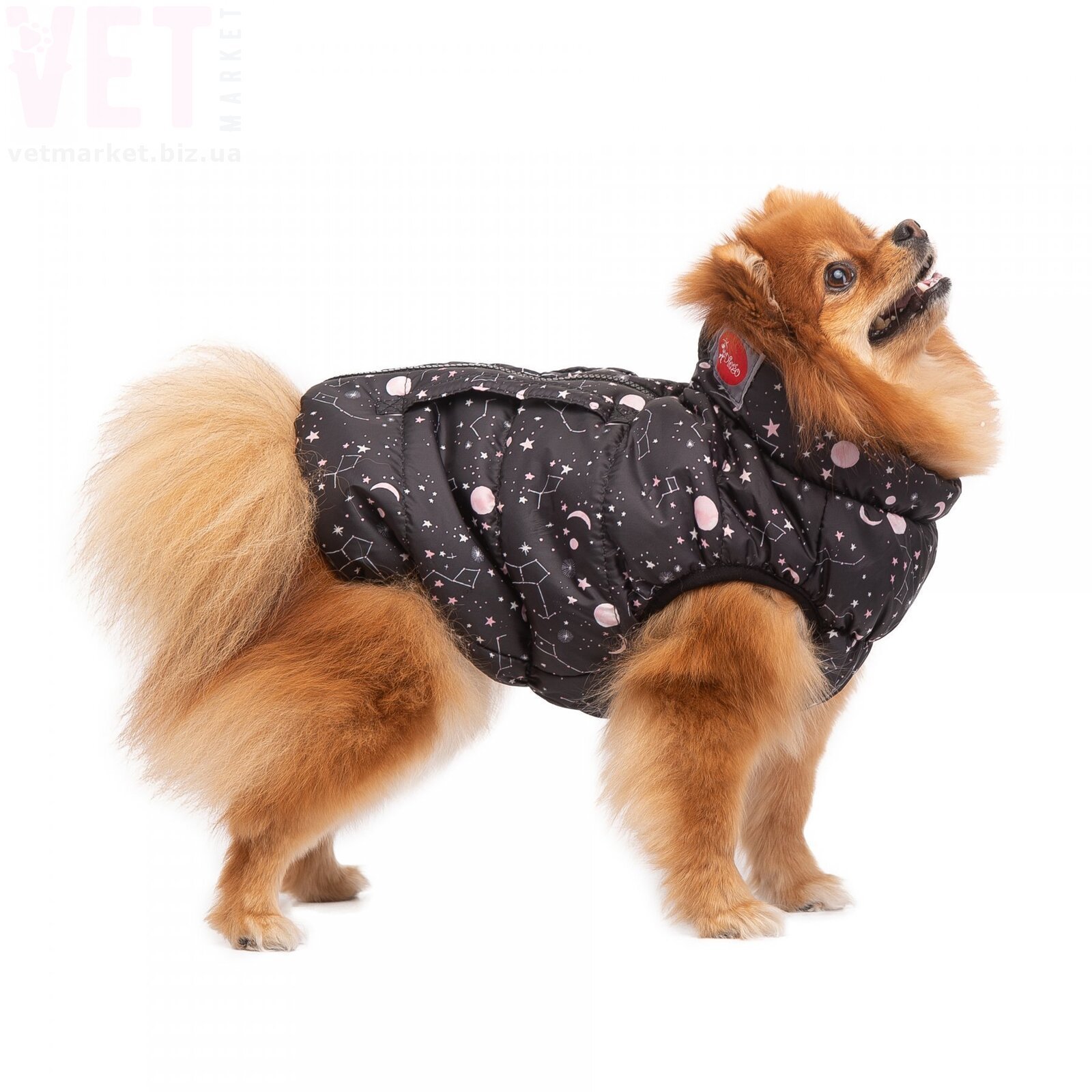 ����� DIEGO sport 3/8 ��������� ������. �����/����