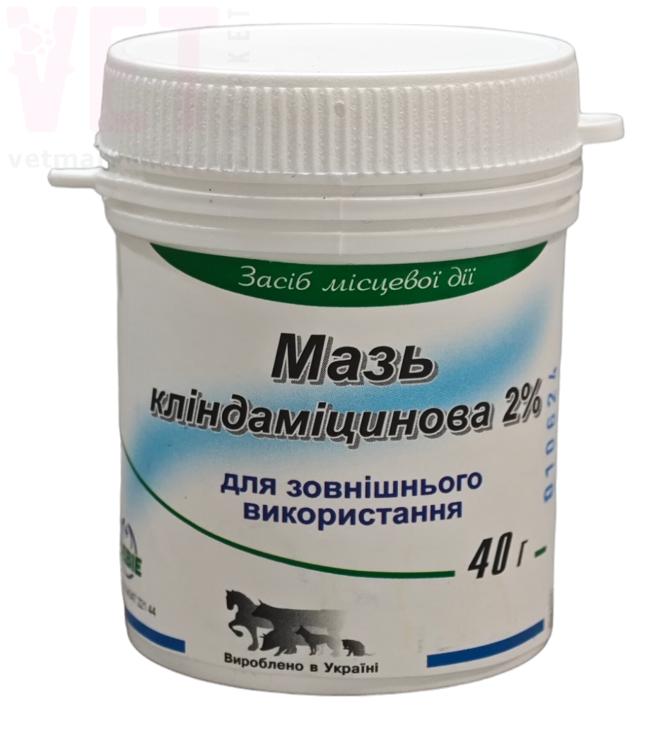 ���� ��������������, 40 �, �����. ����, �����, ����