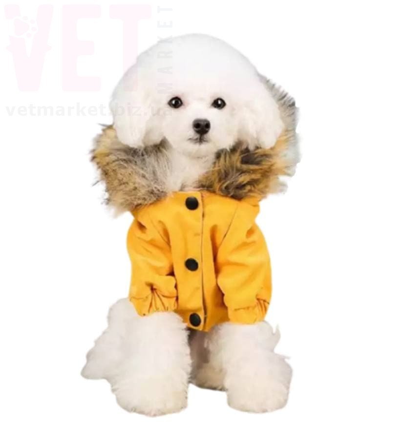 ������ 100-42 � �����. ����