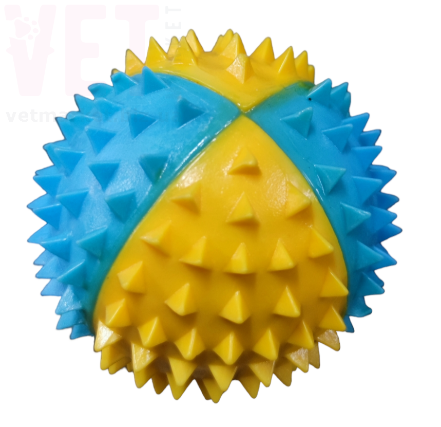 �����-��������� ��������� Colors of freedom, �-6 ��. ����������