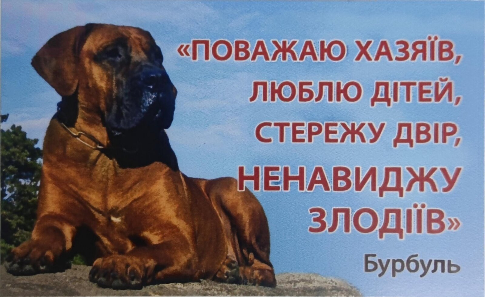 ������� ������, ����� ����, ������� ���, ��������� ���俿� (�������). �������� ������� �� ������