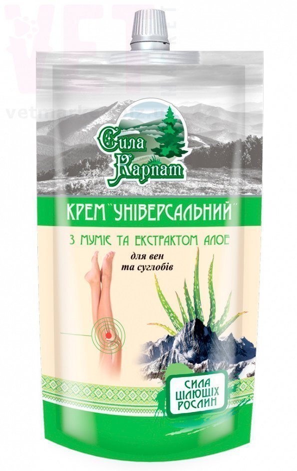 ���� ������ ���� ����� � ���� �������������, 100 ��, �������. ������-������������ �������