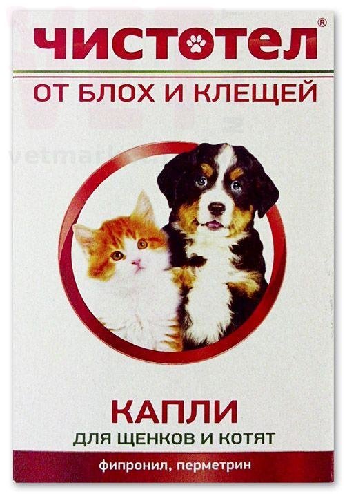 �����/�������� ����� �� ���� � ������ ��� ������ � �����, 3 ���.*1 ��, �������. ����� / ����� � �����������