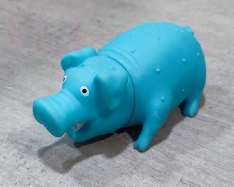 �����/������� ��������� ������ ������� 19-43 (������). ����� / ����� � �����������