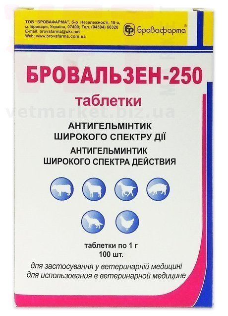 �����/����������, 100 ����., ����������. ����� / ����� � �����������