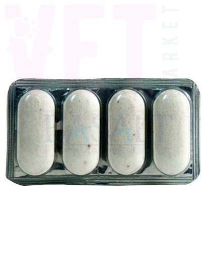 �����/����� �������������� �������������� � ������������� �4, �������. ����� / ����� � �����������