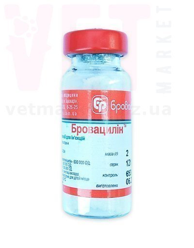 �����/�����������, 2 �, ����������. ����� / ����� � �����������