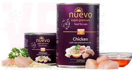 Nuevo Kitten ���� ��� ����� � �������, ����� � ����� ������, 200 �. ��� �����