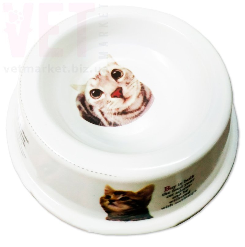 ����� ������� 20-22. ����� ���������