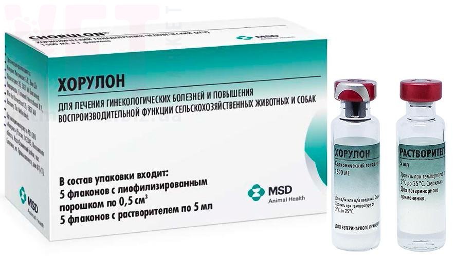 ������� 1500 ��/������, 5 ��, MSD. ����������� ���������