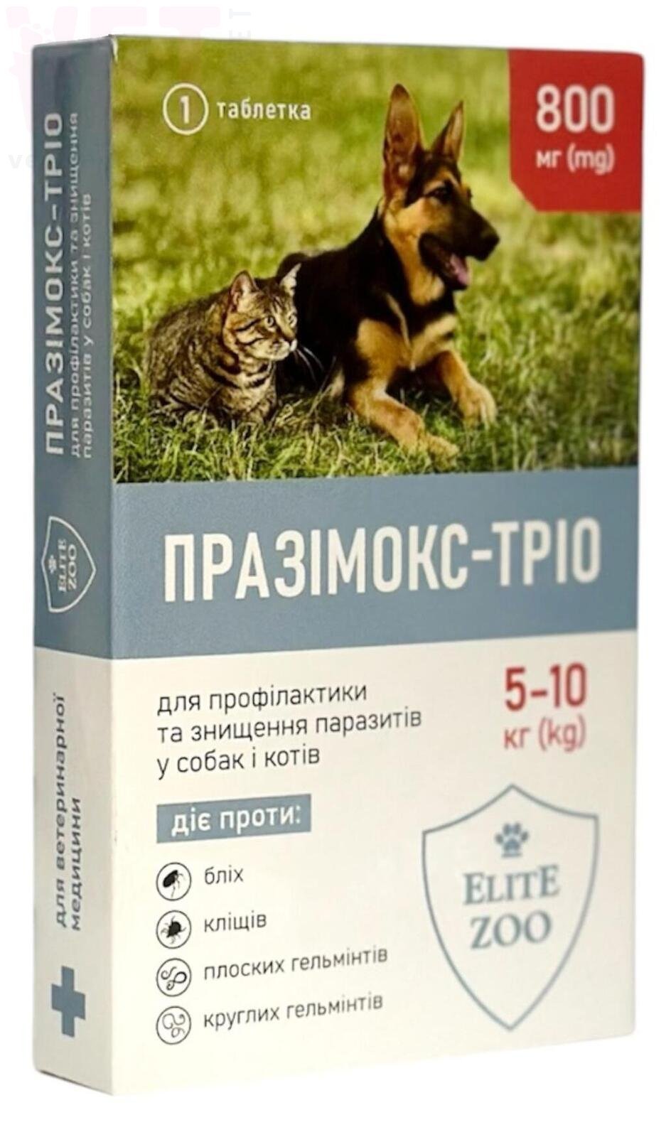 ���������-���� 800 �� ��� ����� � ����� 5-10 ��, 1 ����., �������. ��������