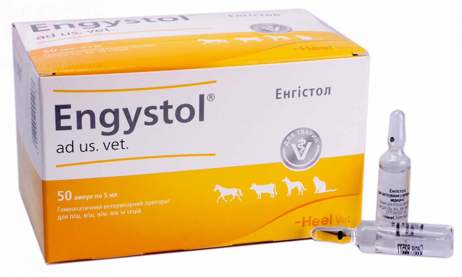 ��������, 5 ��, Heel. ������������ ���������