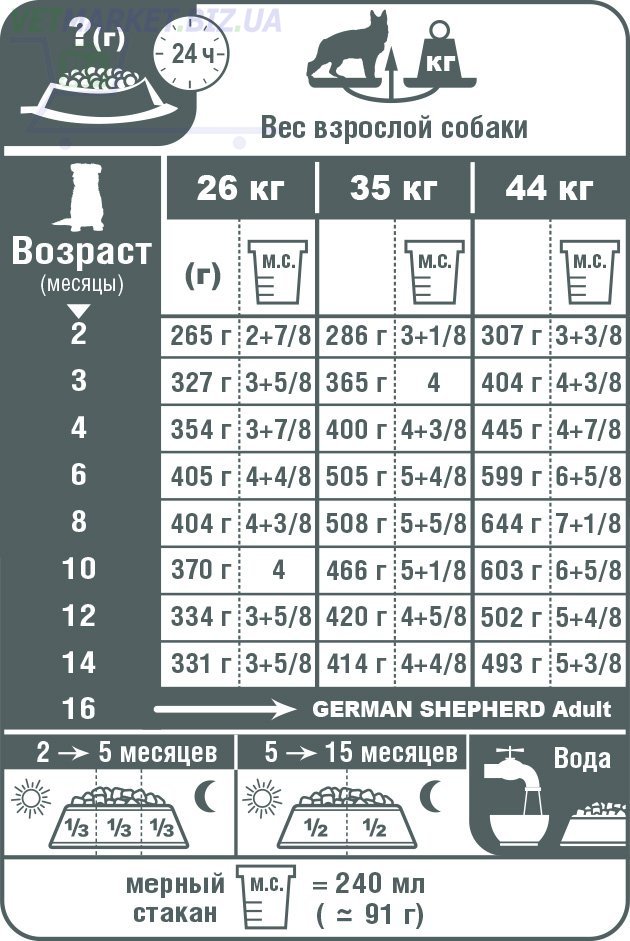 Сколько грамм корма щенку. Норма корма для щенка немецкой овчарки Роял Канин. Таблица корма для щенка лабрадора в день норма сухого корма. Норма сухого корма Royal Canin для щенков французского бульдога. Норма сухого корма для щенков 2 месяца.