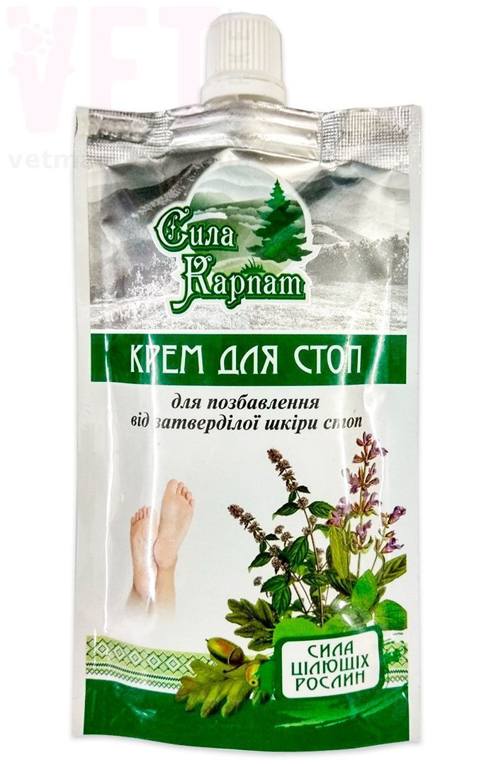 ���� ������ ���� ��� ���������� � �������������� ���� ���, 100 ��, �������. ������-������������ �������