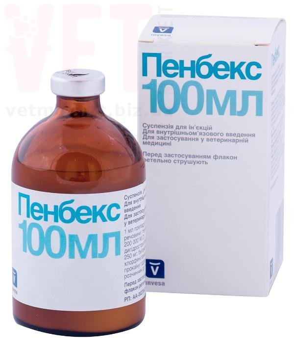 �����/�������, 100 ��, Livisto. ����� / ����� � �����������