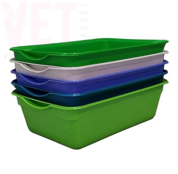 ������ �������� + �����, �����. ��� ����