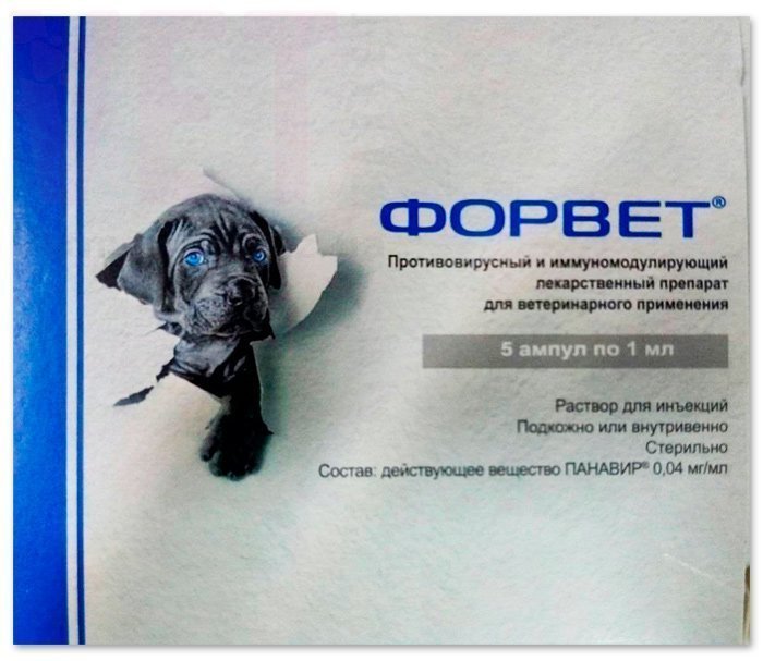 �����/������, 1 ��, ����� ���. ����� / ����� � �����������