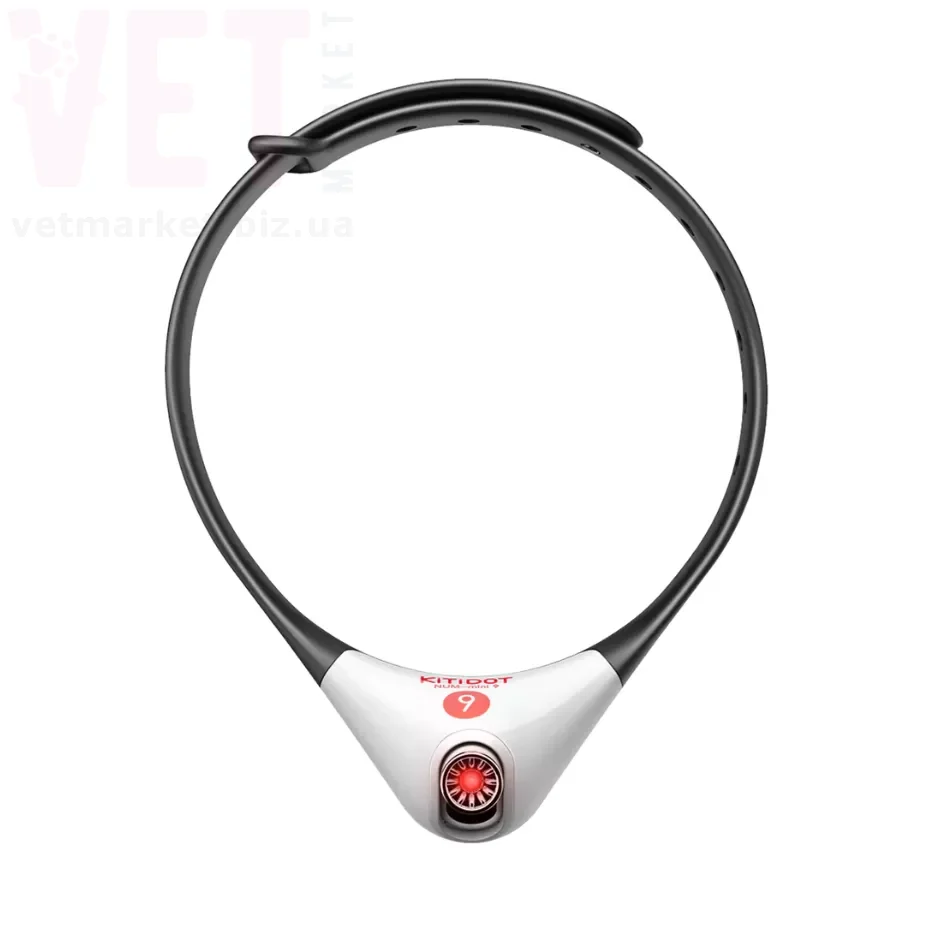 ������� Amusing Collar Cat Toy Black �����-�������. ������� ��� �����