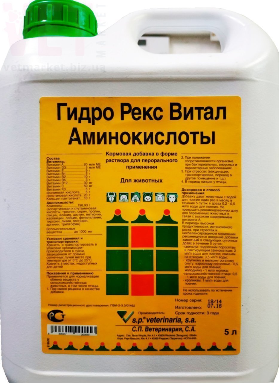 �����/����� ���� ����� ������������, 5 �. ����� / ����� � �����������