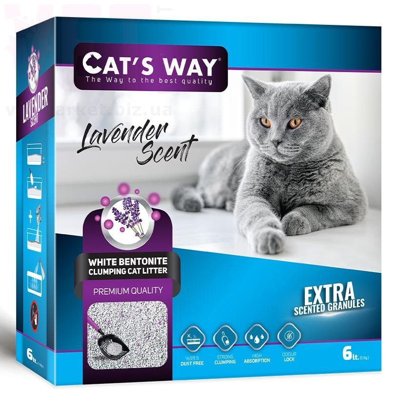 /CAT'S WAY    ( ), 6 .  /   