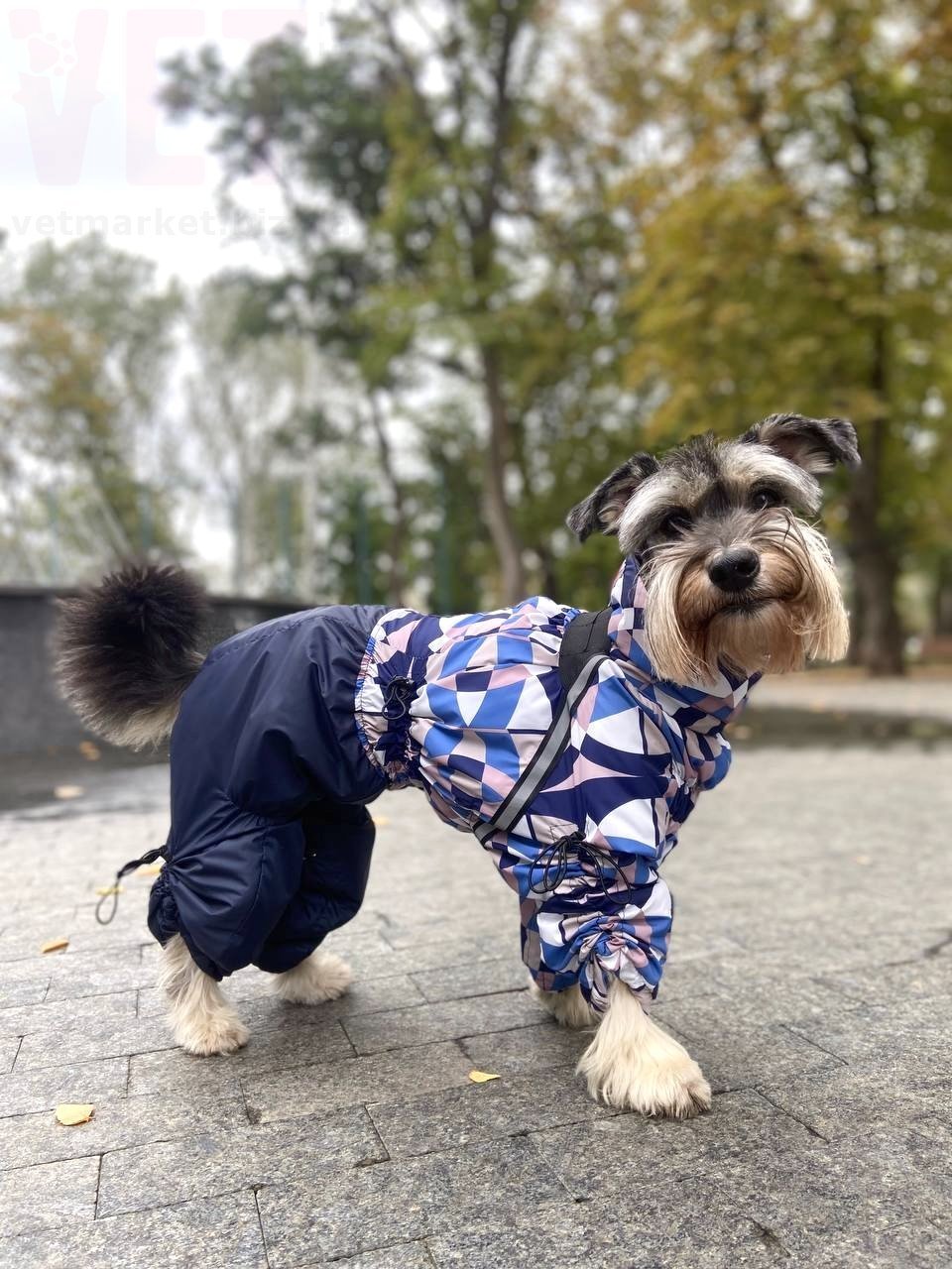 ���������� Diego snow sintepon print � ����� ���������. ����