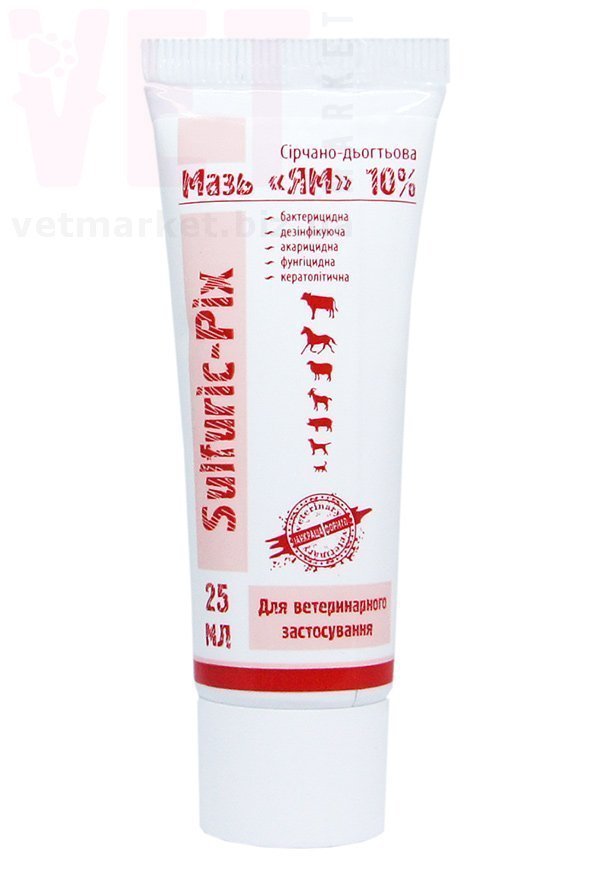 ���� ��, 25 ��, ����. ����, �����, ����