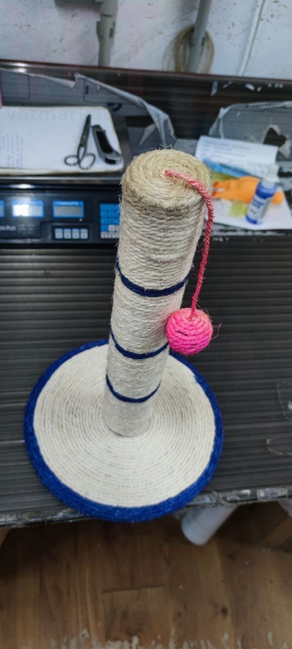 �����/����������-������� � ������� 8-9 (������). ����� / ����� � �����������