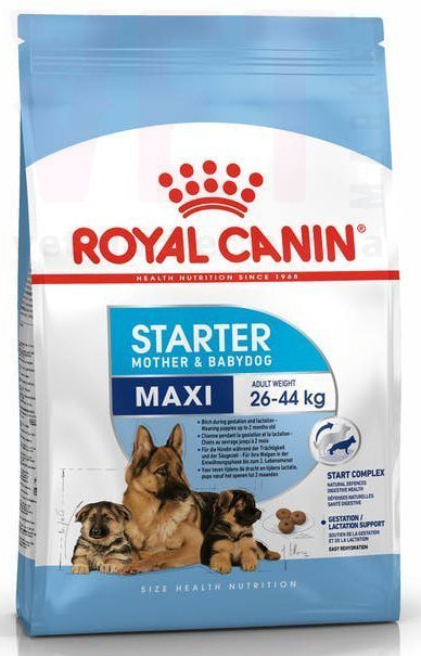   Maxi Starter      2 , 1 . Maxi (26-44 )