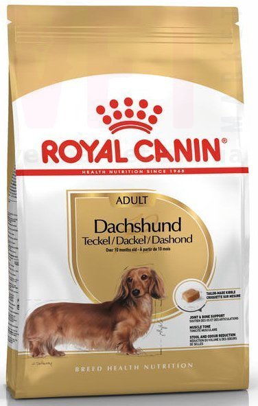 ���� ����� Dachshund Adult, 1,5 ��. Breed Health Nutrition - ������� � ������������ � �������