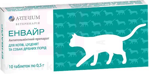 ������ ��� �����, ������ � ����� ������ �����, 10 ����., ��������. ��� �����