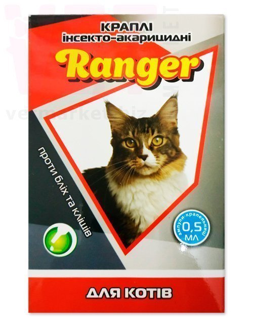 ����� �� ����� �������� (Ranger) ��� �����, 4 ���.*0,5 �� (�������� 10%). �����