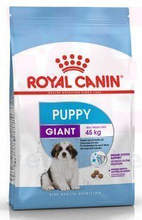 ���� ����� Giant Puppy, 15 ��. Giant (> 45 ��)