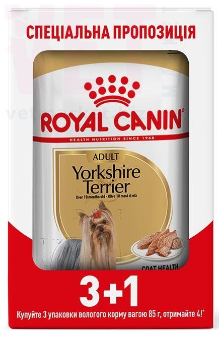 ���� ����� Yorkshire Adult 3+1. Canine Health Nutrition Wet - ������� �������