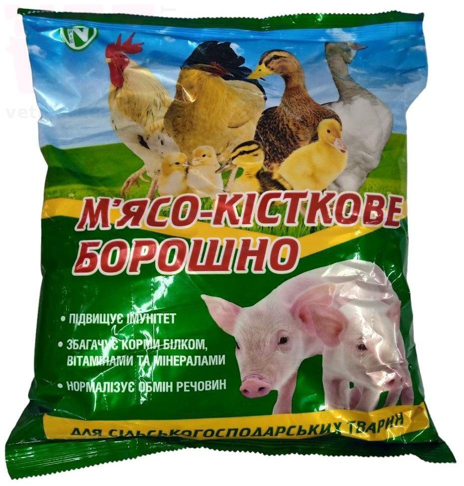 ���� �����������, 1 ��, �����. ��� �������������������� ������