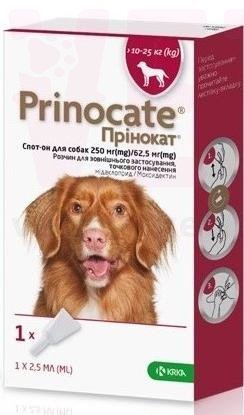 �������� ��� ����� 10 � 25 ��, 250/62,5 ��, 1 ���.*2,5 ��, KRKA. �����