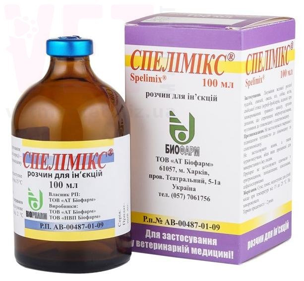 ���������, 100 ��, �������. ������������� � ����������������� ���������