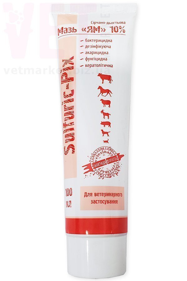 ���� ��, 100 ��, ����. ����, �����, ����