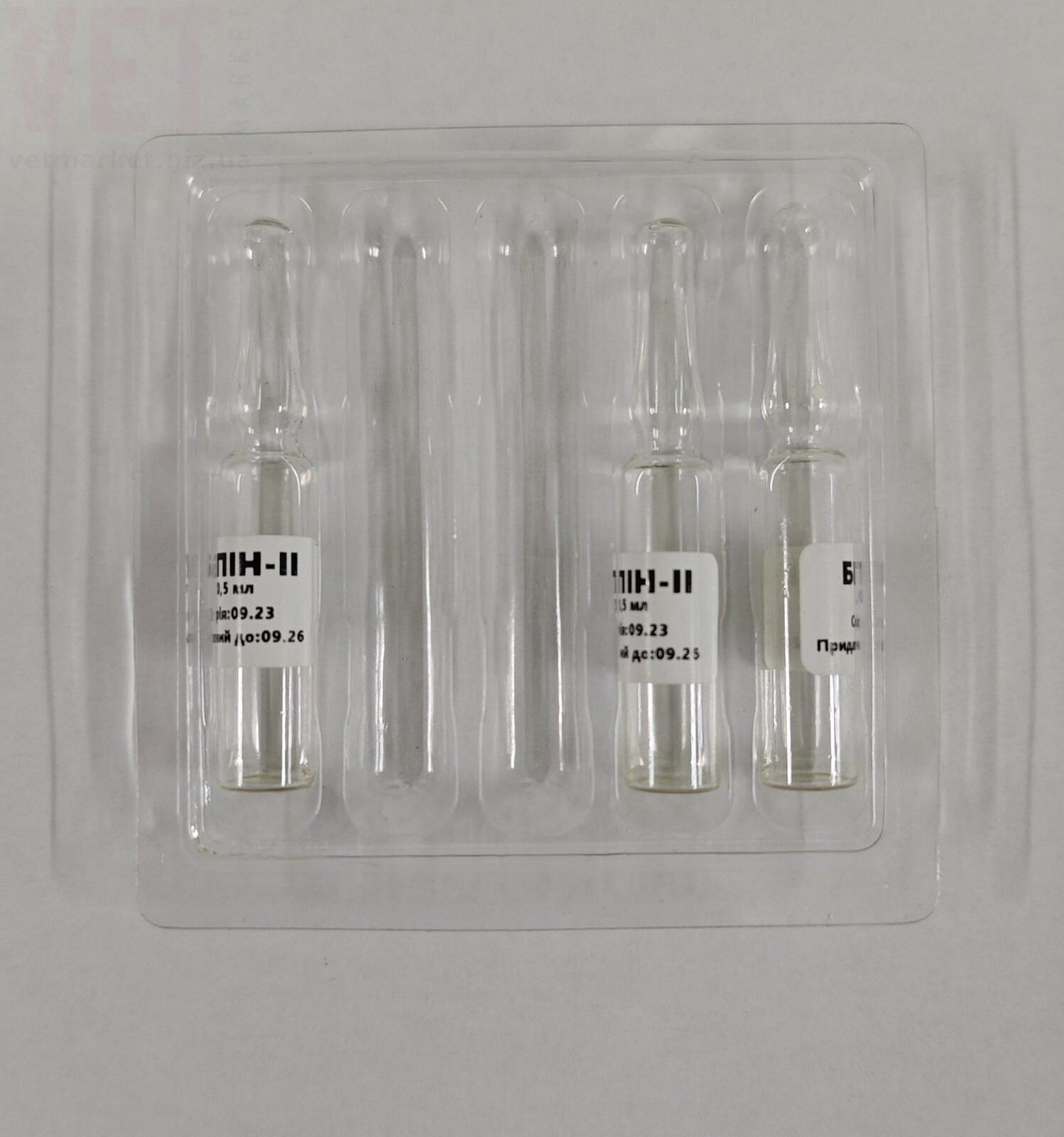 �����/�����-2 0,5 �� �5, ������� (������). ����� / ����� � �����������