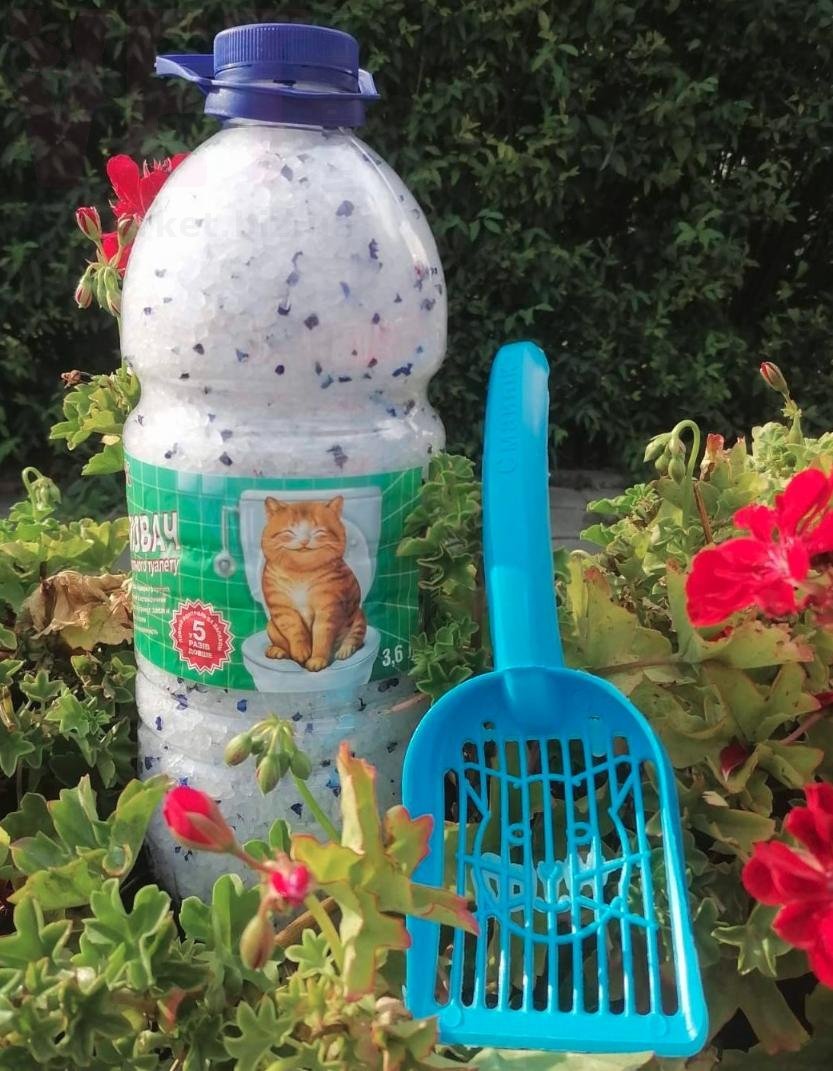 �����/������� ����������� ������������� � �������, 3.6 �. ����� / ����� � �����������